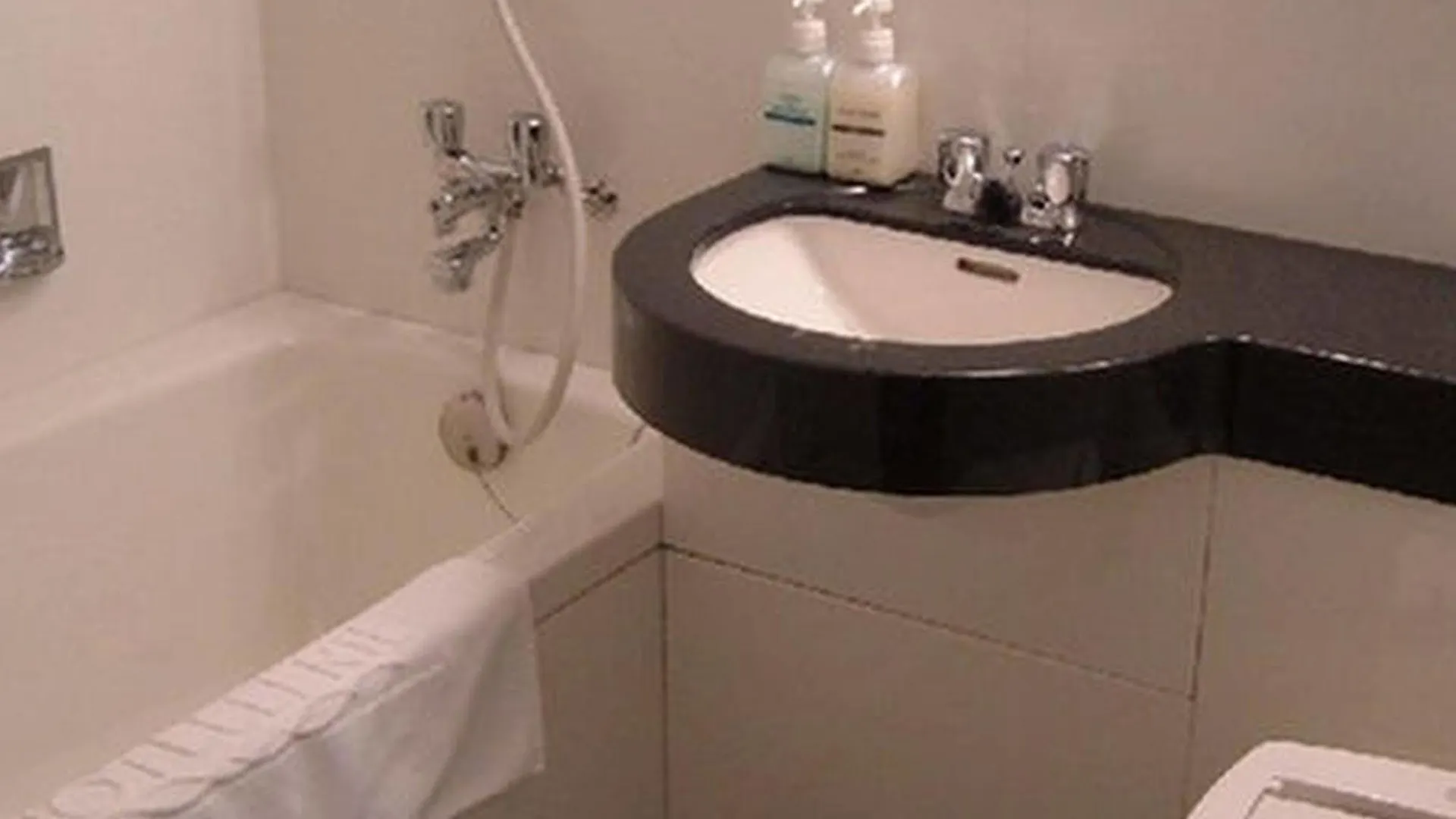 Hotel Lavenir Biei